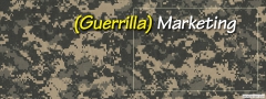 2. Guerrilla